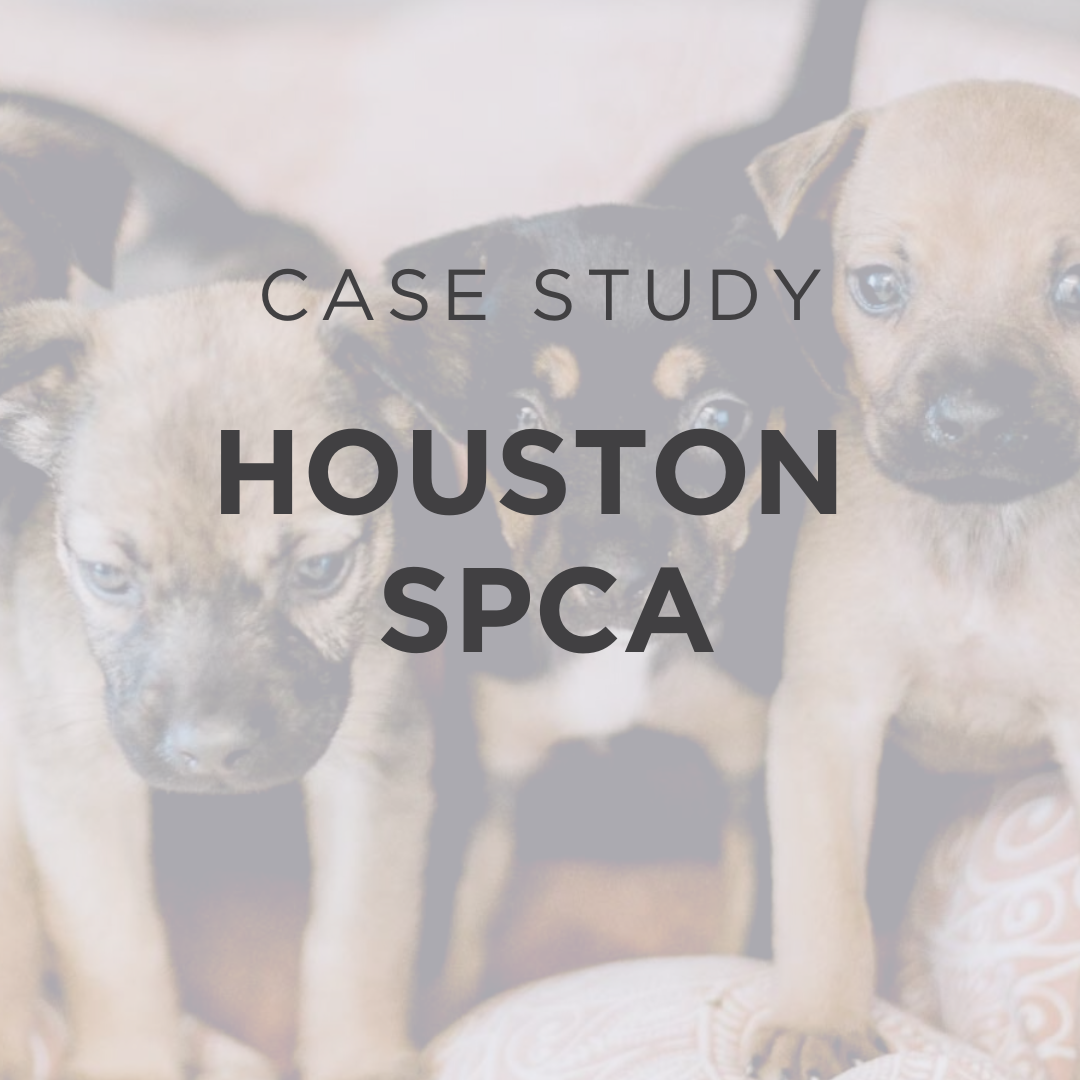 Learn about the impact of direct response fundraising on the Houston SPCA.