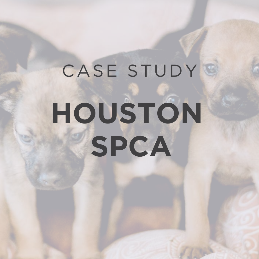 HSPCA-Case-Study-2